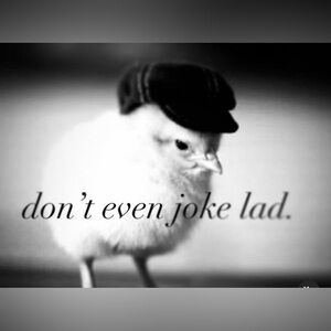 Meet your Posher, Addison